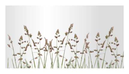 Glasgummiauflage-fuer-Zusatzdekore - Product image