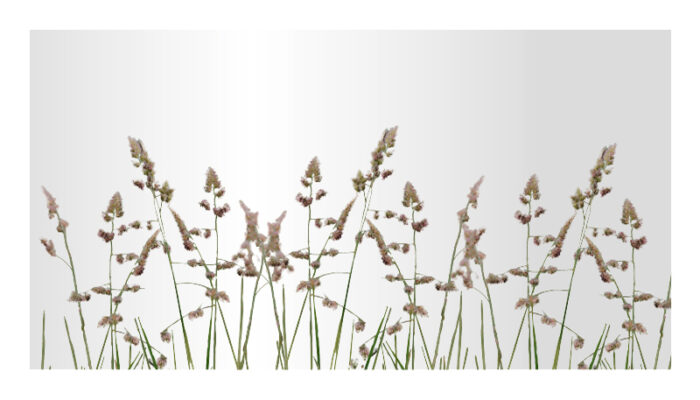 Glasgummiauflage-fuer-Zusatzdekore - Product image