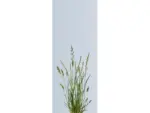 VIDUAL-clear-individuelle-Glasfuellung-schraeg - Product image