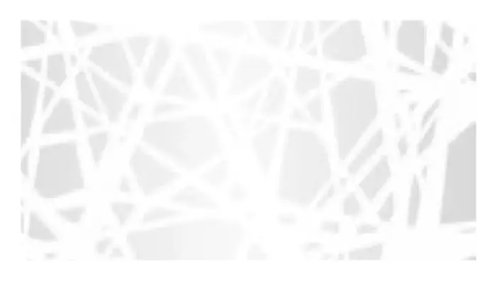 Glaeser-Zusatzdekore-fuer-VIDUAL - Product image